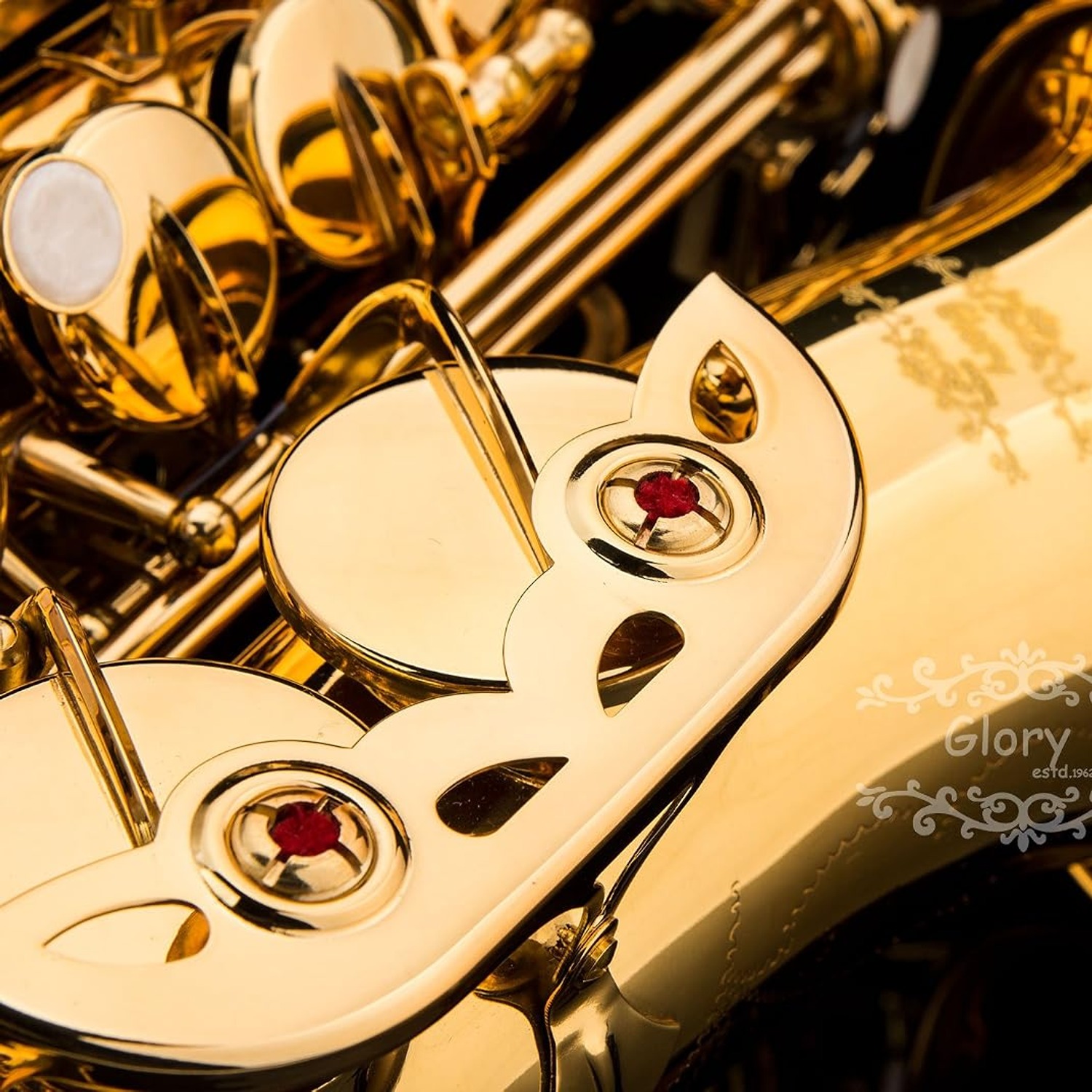 GLORY Eb Alto Saxophone with Hard Case and Starter Kit: image 4